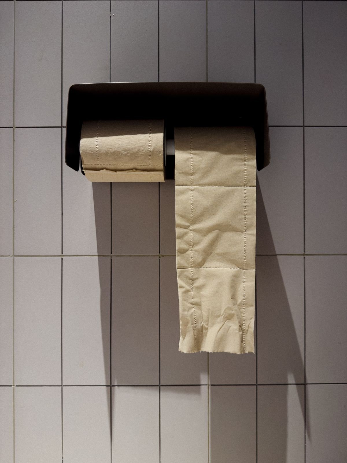 Toilet paper dispenser with decor